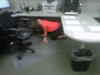 Our dispatcher, Kelly who sends sign language interpreters out in the community duck under her desk! 