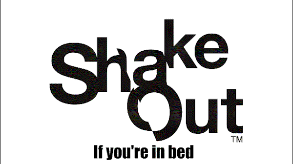 Earthquake Safety GIF Bed